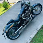 298141-harley-davidson-softail-fat-bob-114-20240313135853520200.webp