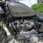 364790-harley-davidson-roadster-20250412135056841766.webp