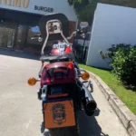 370835-harley-davidson-softail-fat-boy-20250520153932587009.webp