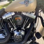 384832-harley-davidson-fat-boy-low-special-20250812112237512201.jpeg