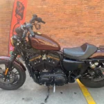 386910-harley-davidson-sportster-1200-custom-20250822135603640620.webp