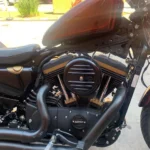 386910-harley-davidson-sportster-1200-custom-20250822140012864821.webp